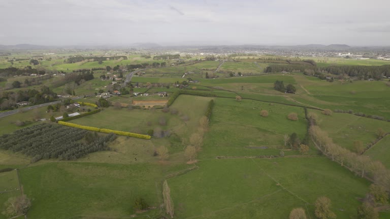 A wide aerial view of green paddocks, hedgerows, rural roads and scattered farm buildings.