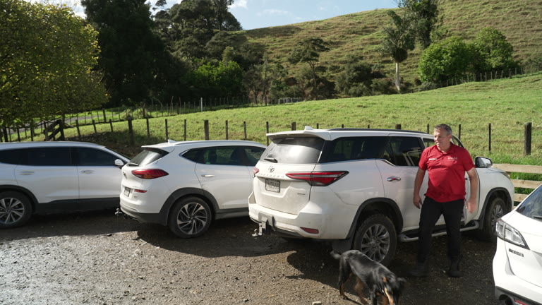 White cars and SUVs are parked beside green hills. A person and a dog stand near the vehicles.